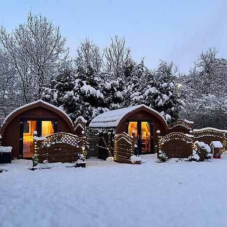 Conifer Cabins Fort William Bagian luar foto