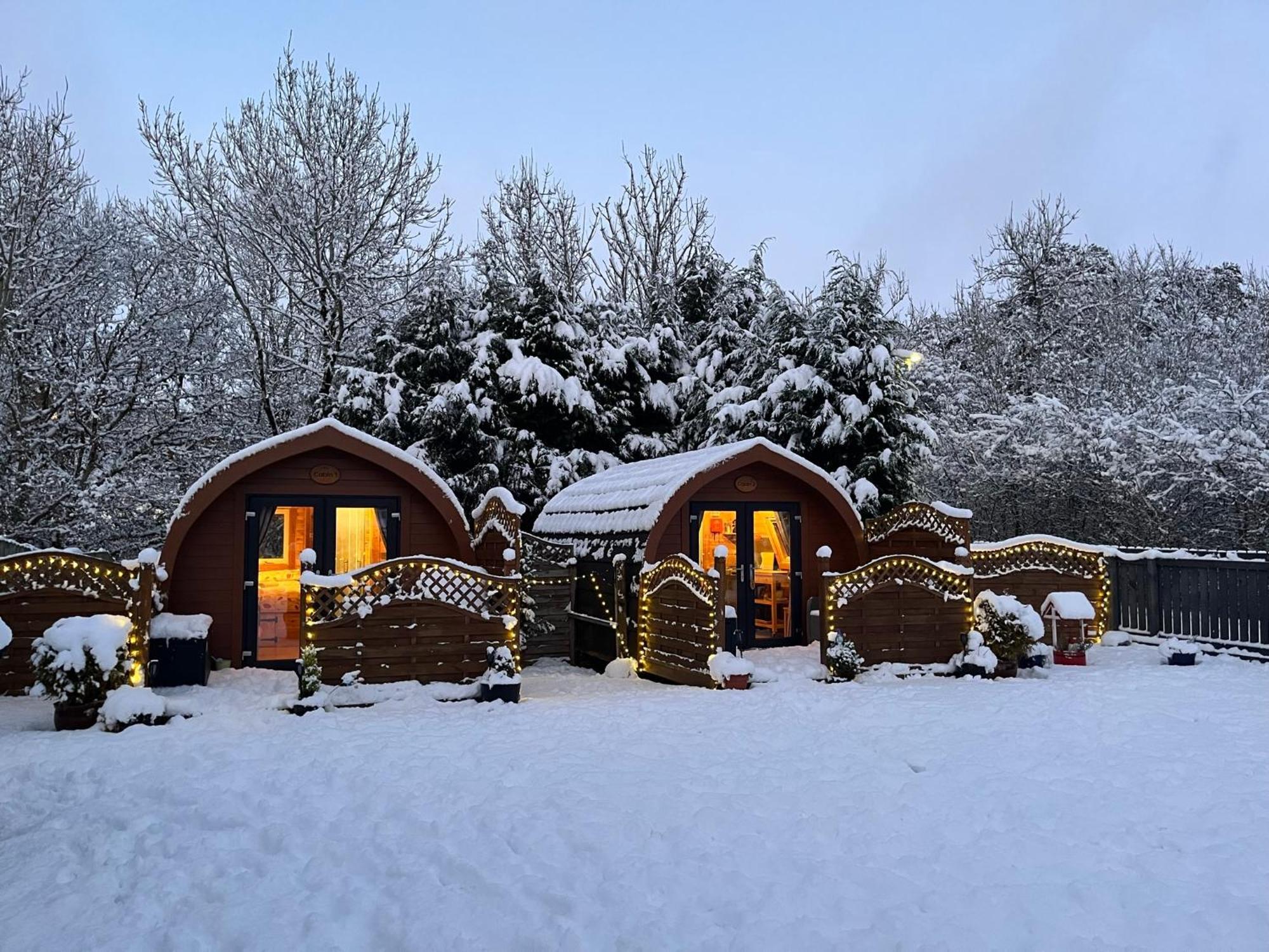 Conifer Cabins Fort William Bagian luar foto
